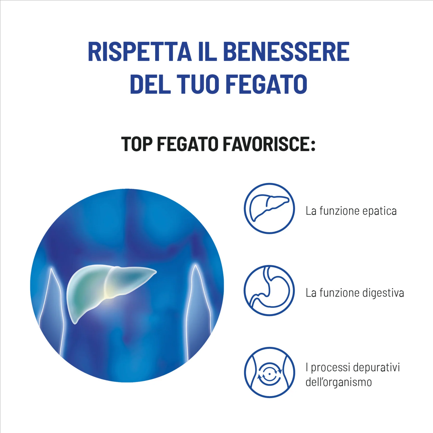 Top-Fegato - Integratore per Funzione Epatiche e Digestive - Image 5